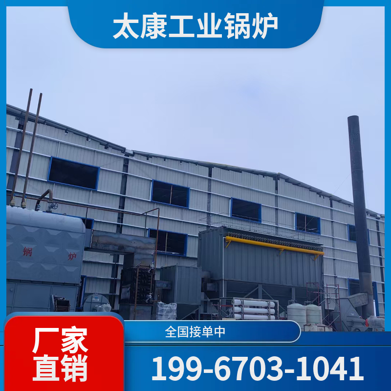 宝鸡生物质导热油锅炉